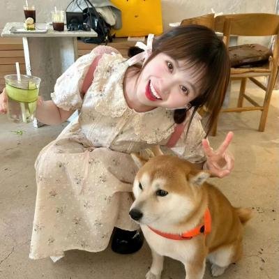 带我去飞
