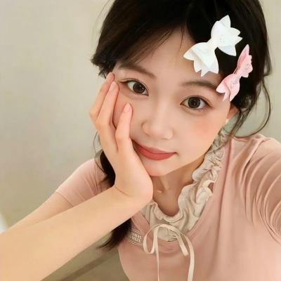 公仆2