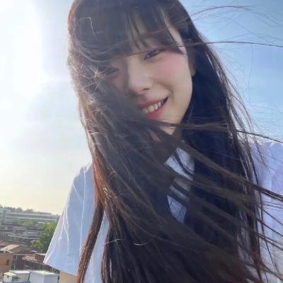 海龟故事