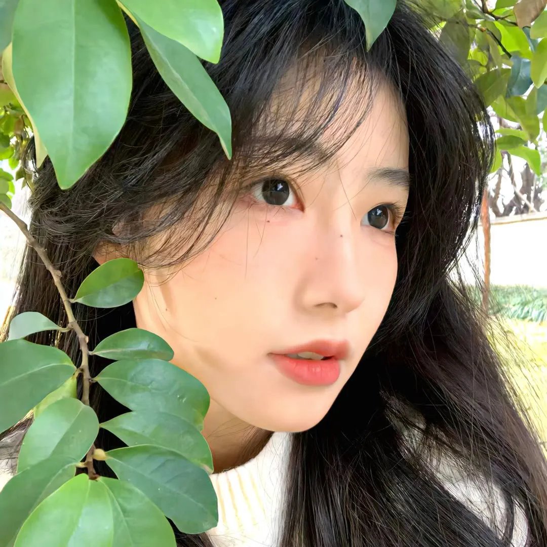 纯白的声音国语